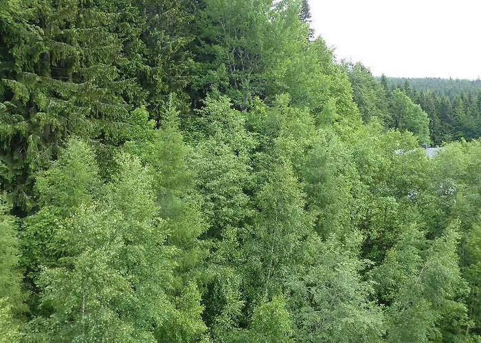 Bedrichov,